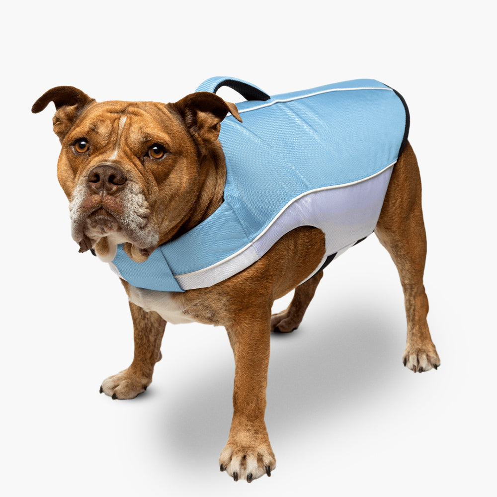 Dog Friendly Co. Dog Life Jacket Sky Blue