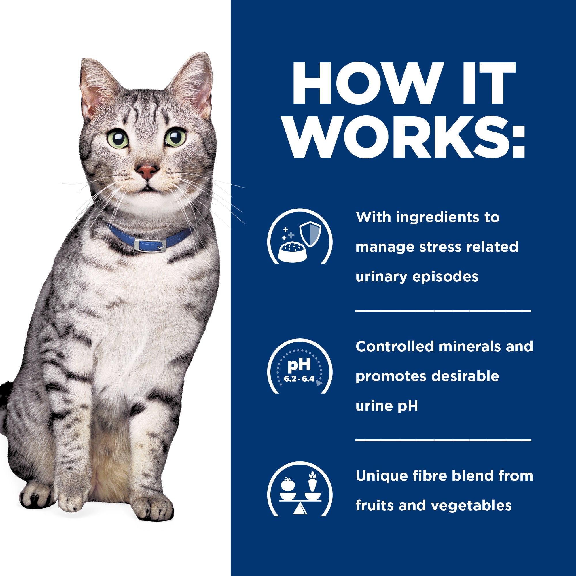 Hill's Prescription Diet c/d Multicare Stress Urinary Care + Metabolic Weight Dry Cat Food 2.88kg