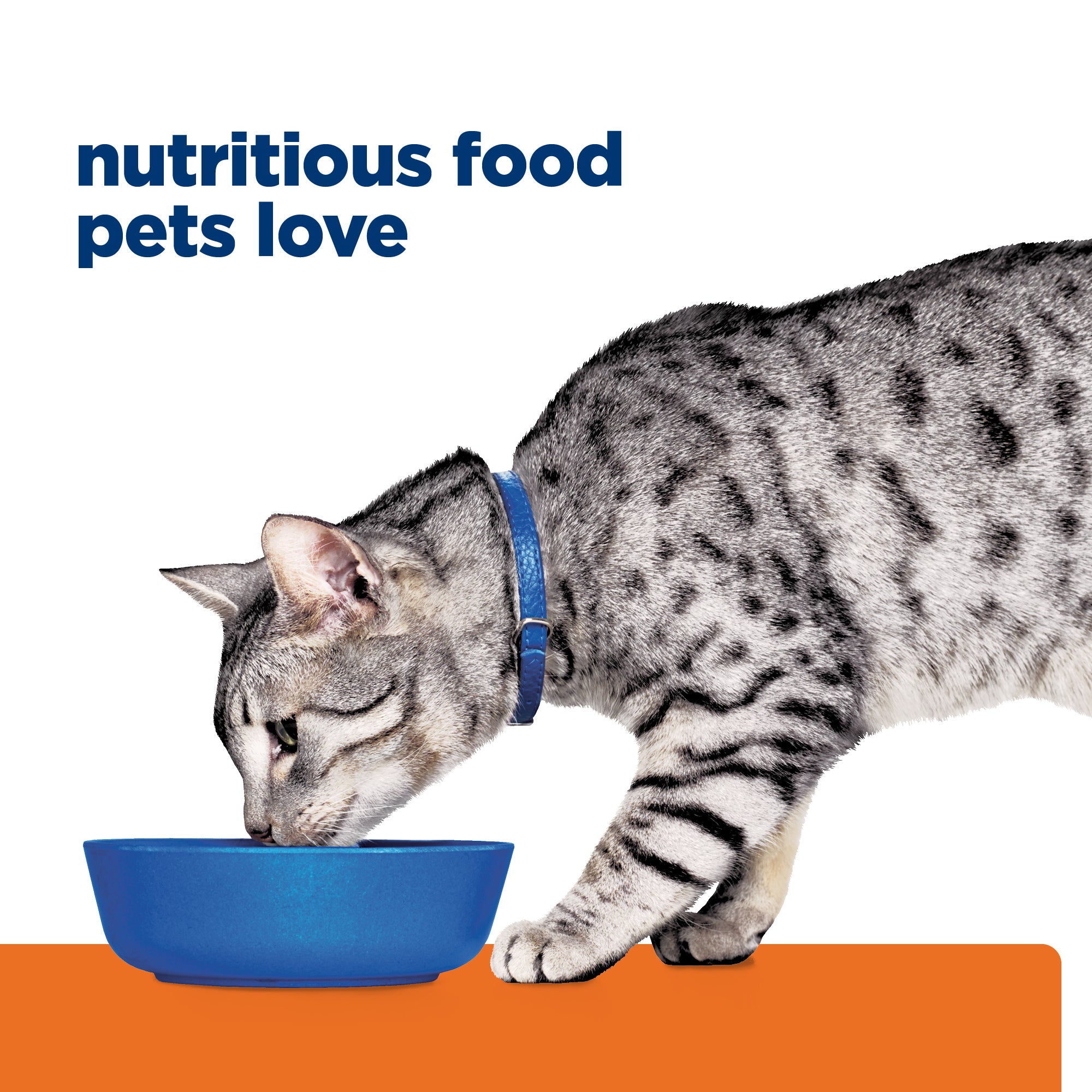 Hill's Prescription Diet c/d Multicare Stress Urinary Care + Metabolic Weight Dry Cat Food 2.88kg