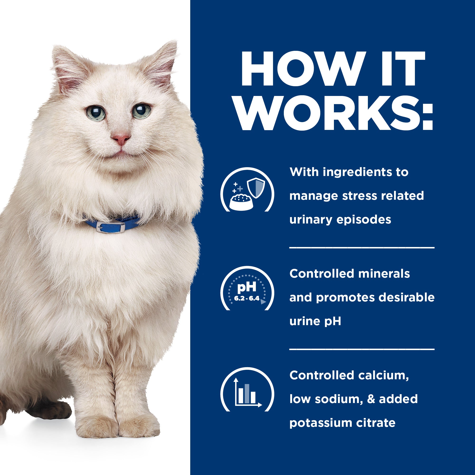 Hill's Prescription Diet c/d Multicare Stress Urinary Care Cat Food Pouches 85g x 12