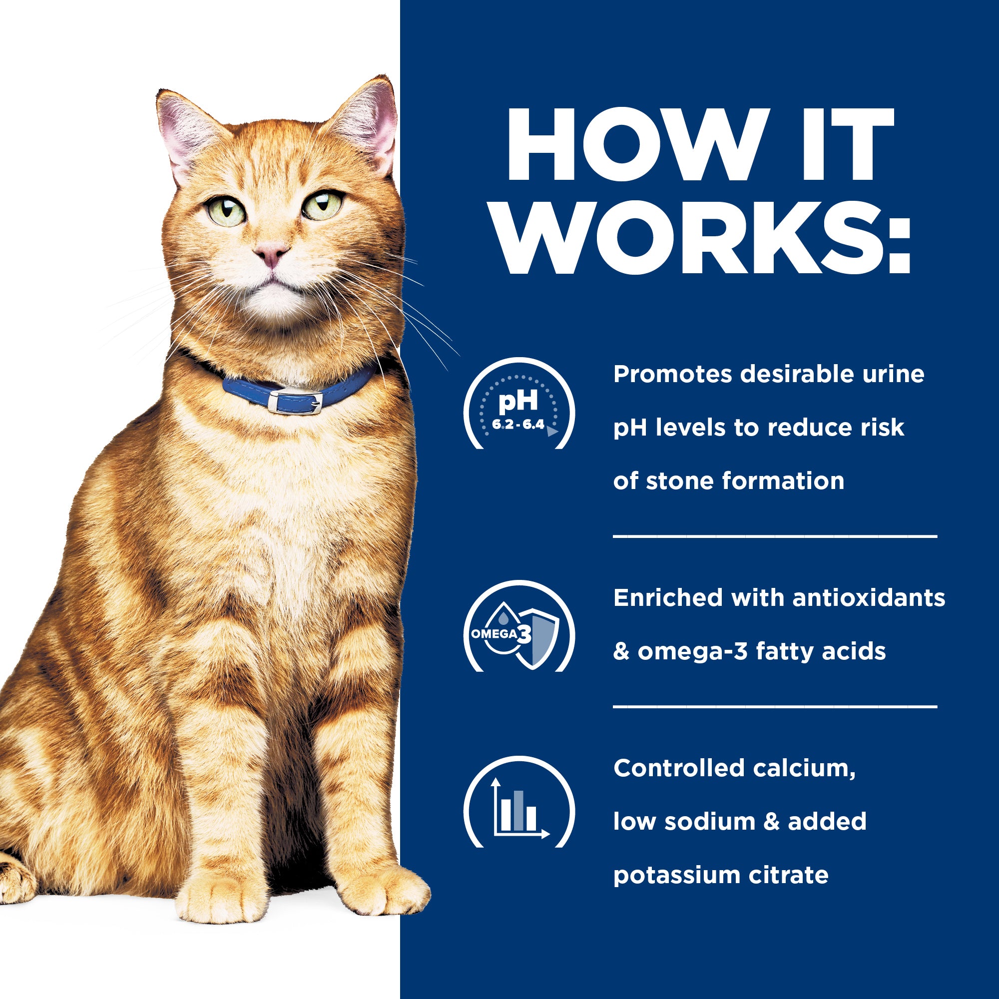 Hill's Prescription Diet c/d Multicare Urinary Care Salmon Cat Food Pouches 85g x 12