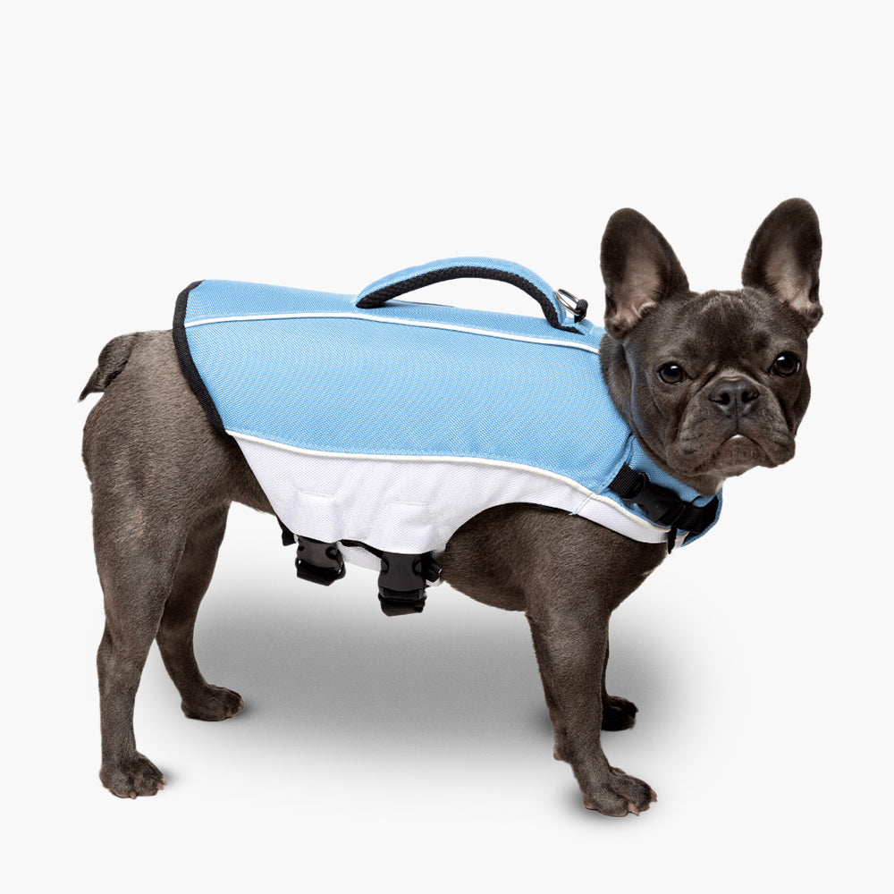 Dog Friendly Co. Dog Life Jacket Sky Blue