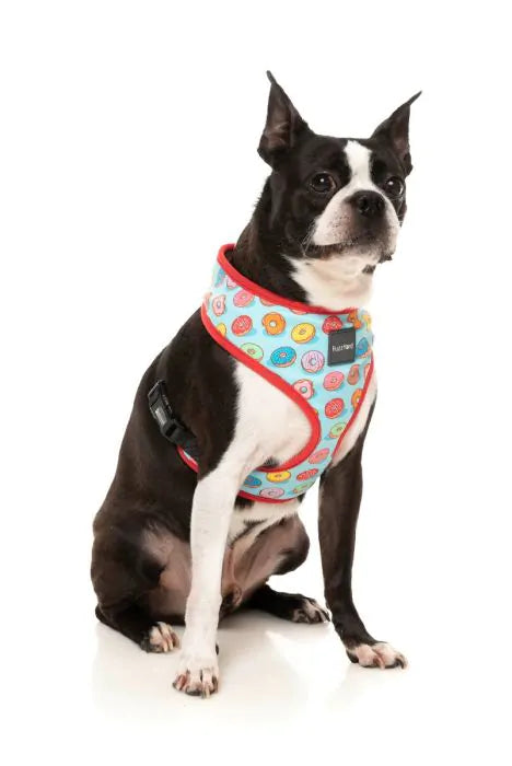 FuzzYard You Drive Me Glazy Dog Harness