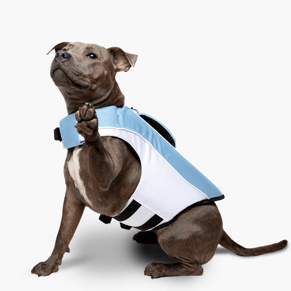 Dog Friendly Co. Dog Life Jacket Sky Blue