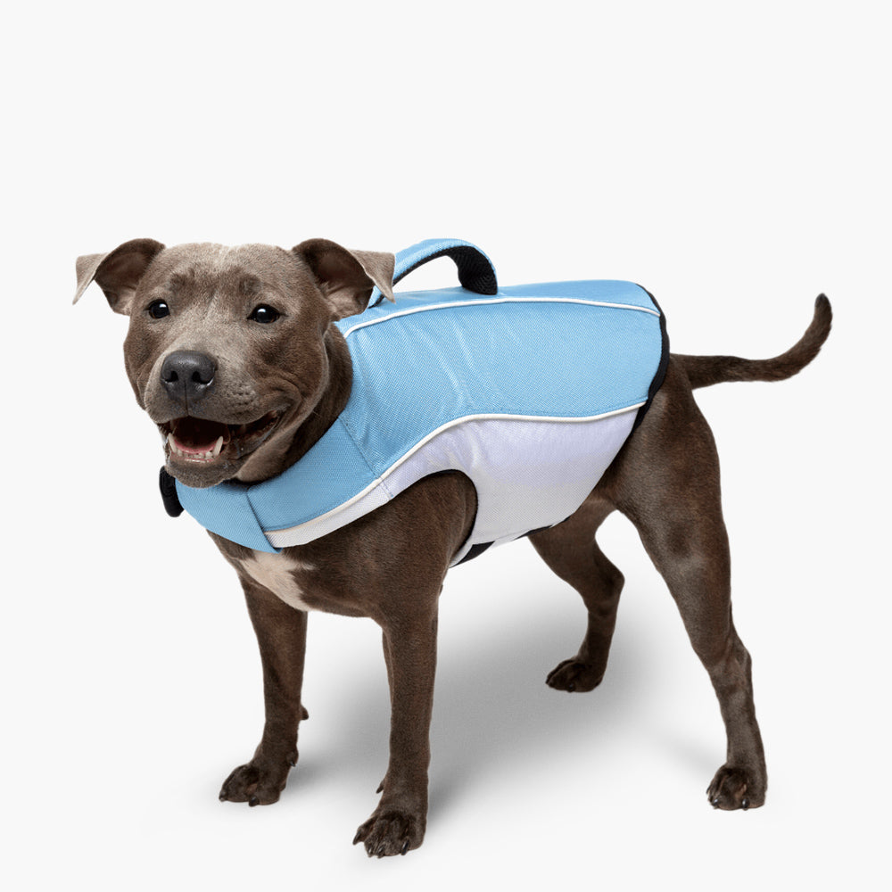 Dog Friendly Co. Dog Life Jacket Sky Blue