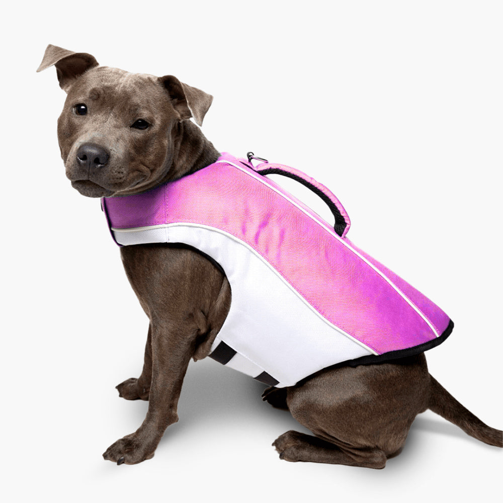 Dog Friendly Co. Dog Life Jacket Pink