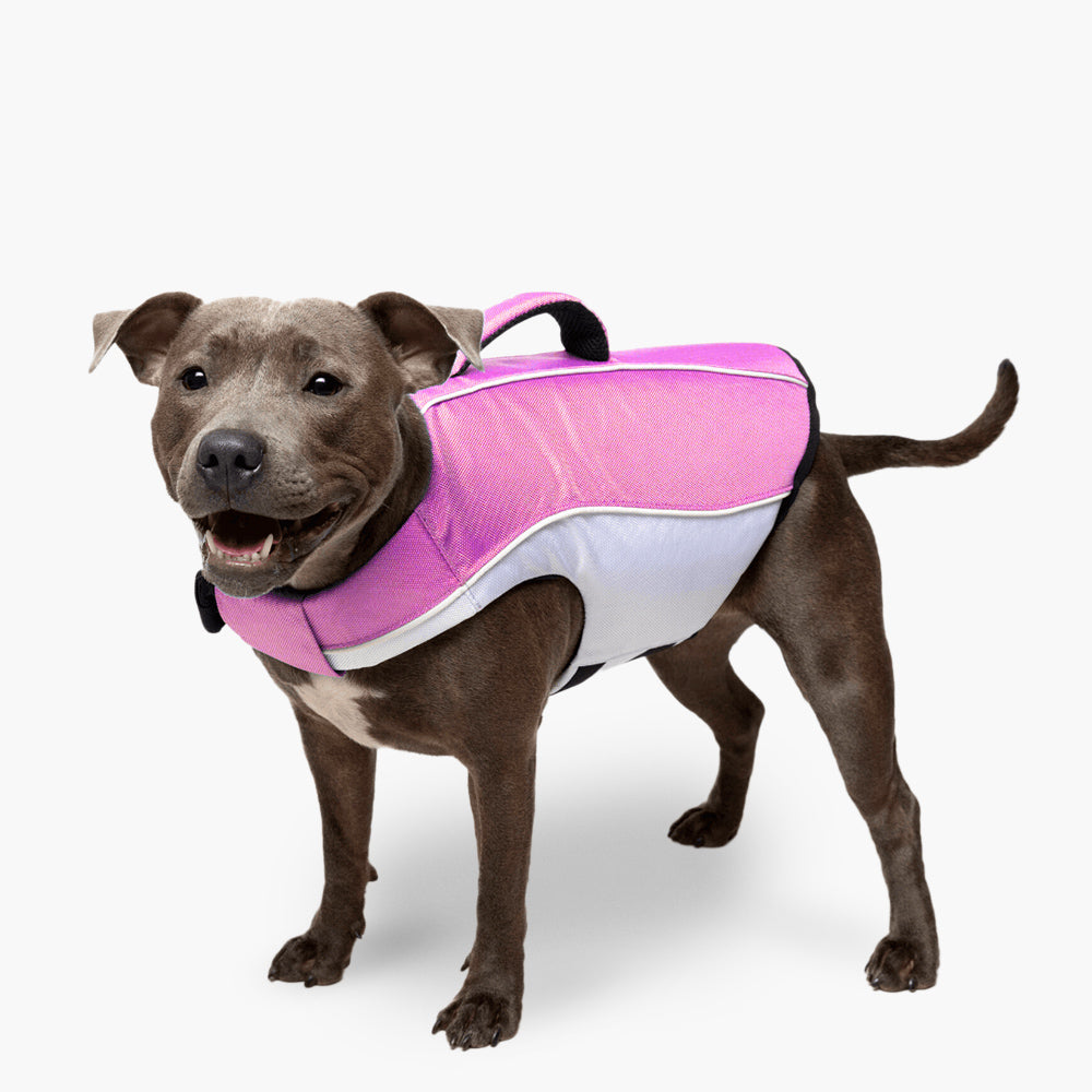 Dog Friendly Co. Dog Life Jacket Pink