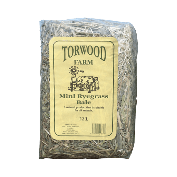 Torwood Farm Mini Rye Grass Bale 22L
