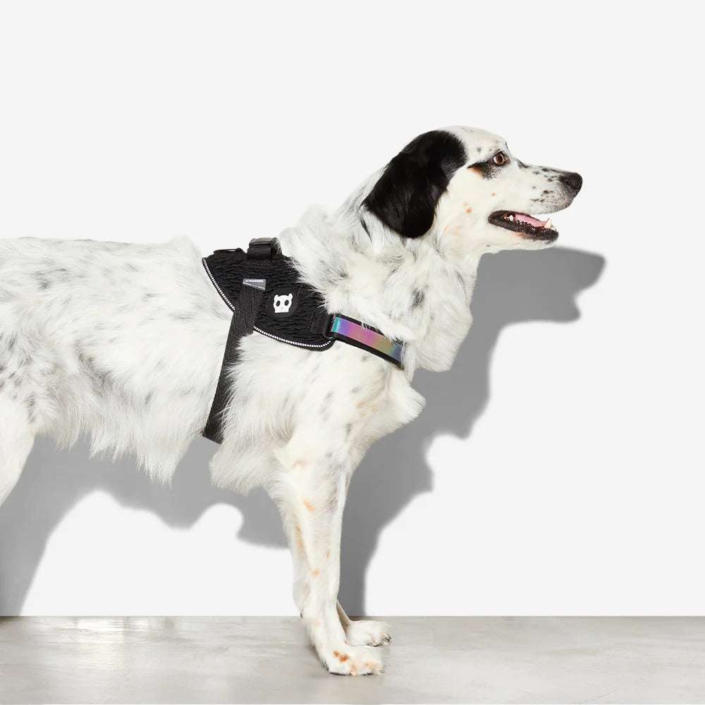 Zee Dog Gotham Dog Flyharness