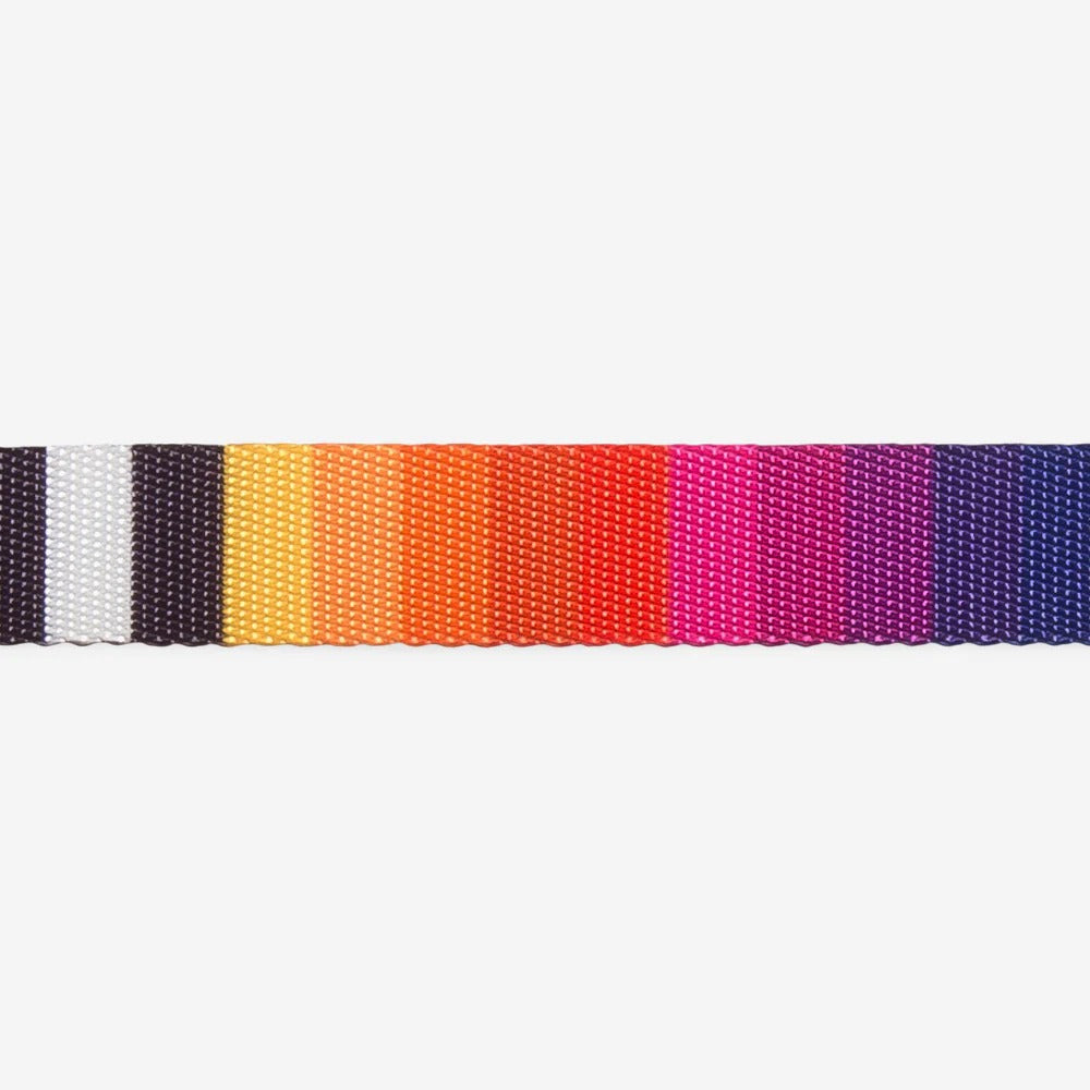 Zee Dog Prisma Dog Lead