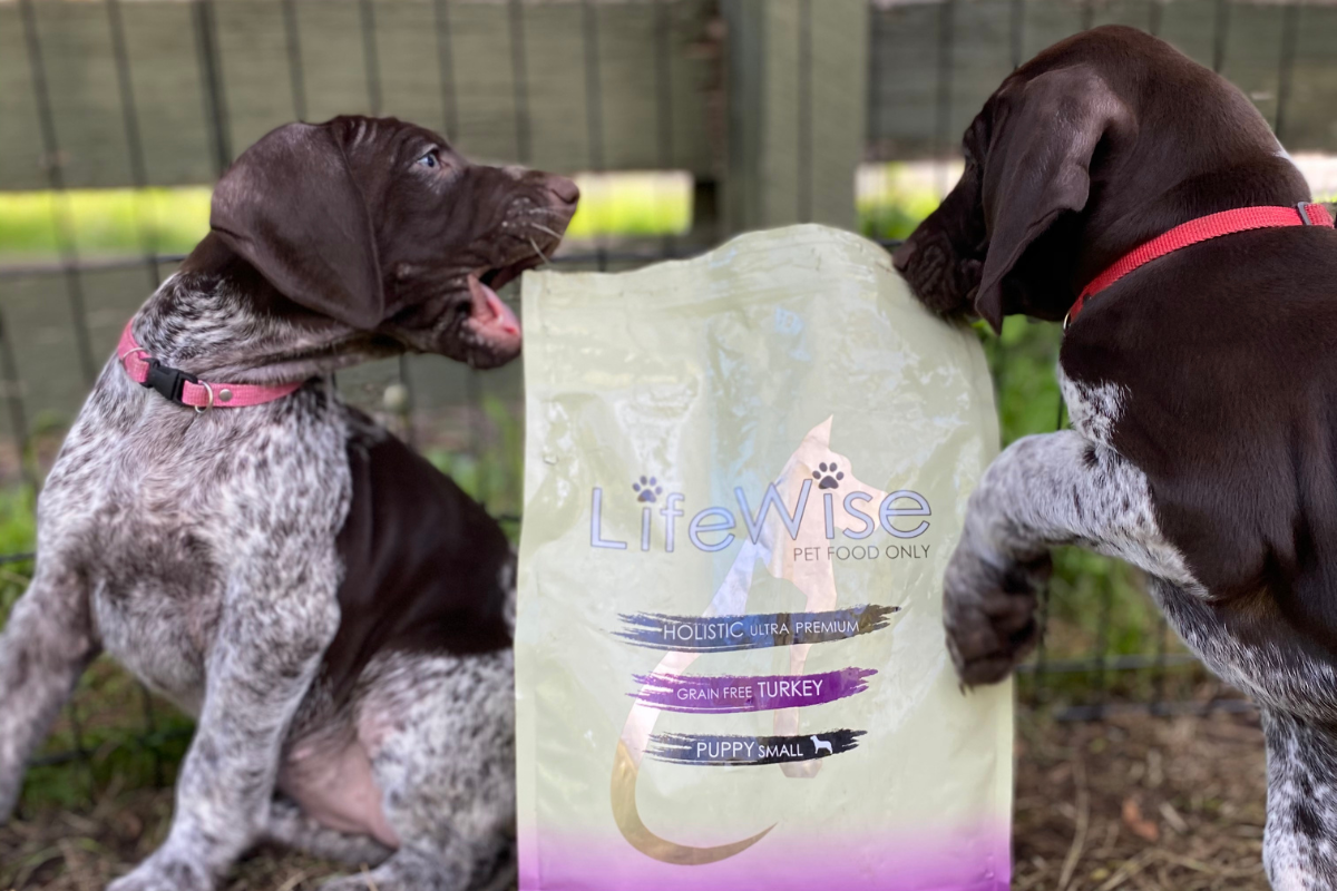 Shop LifeWise Pet Food to Boost Your Pet's Health