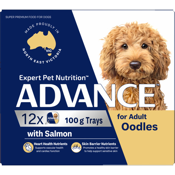 Advance Salmon Oodles Adult Wet Dog Food Trays 100g x 12