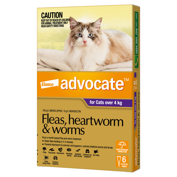Advocate For Cats Over 4kg