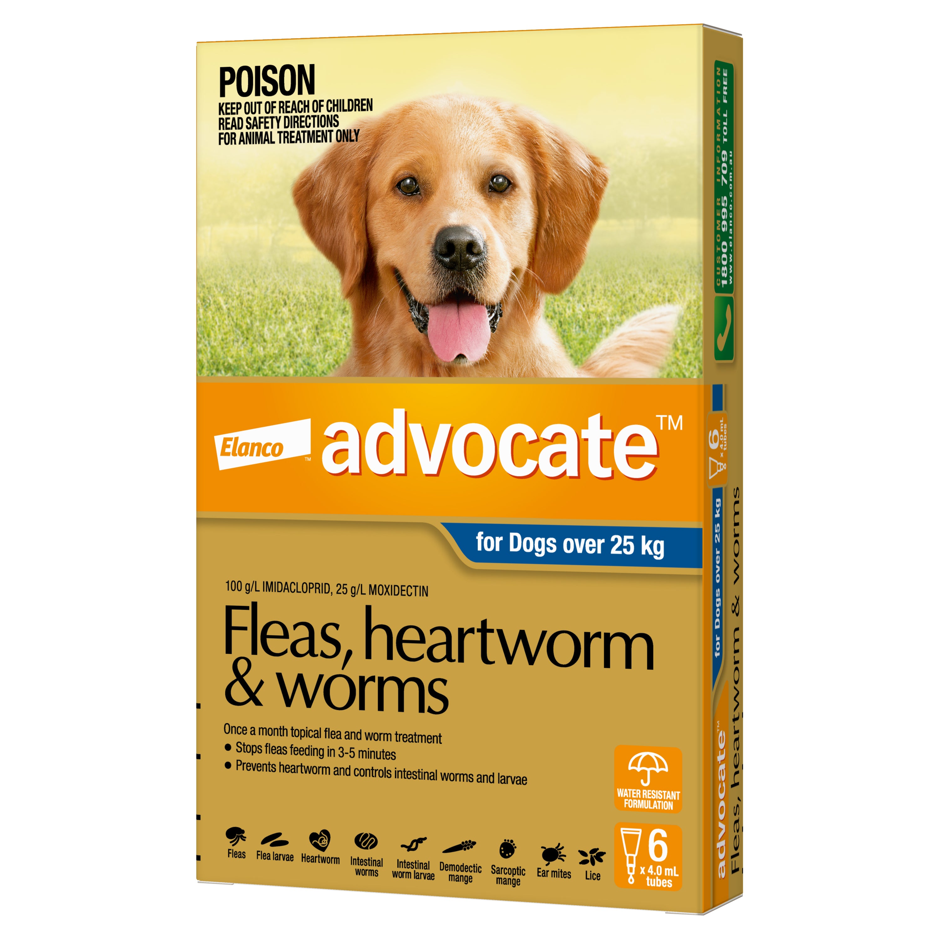 Flea and heartworm med for dogs best sale