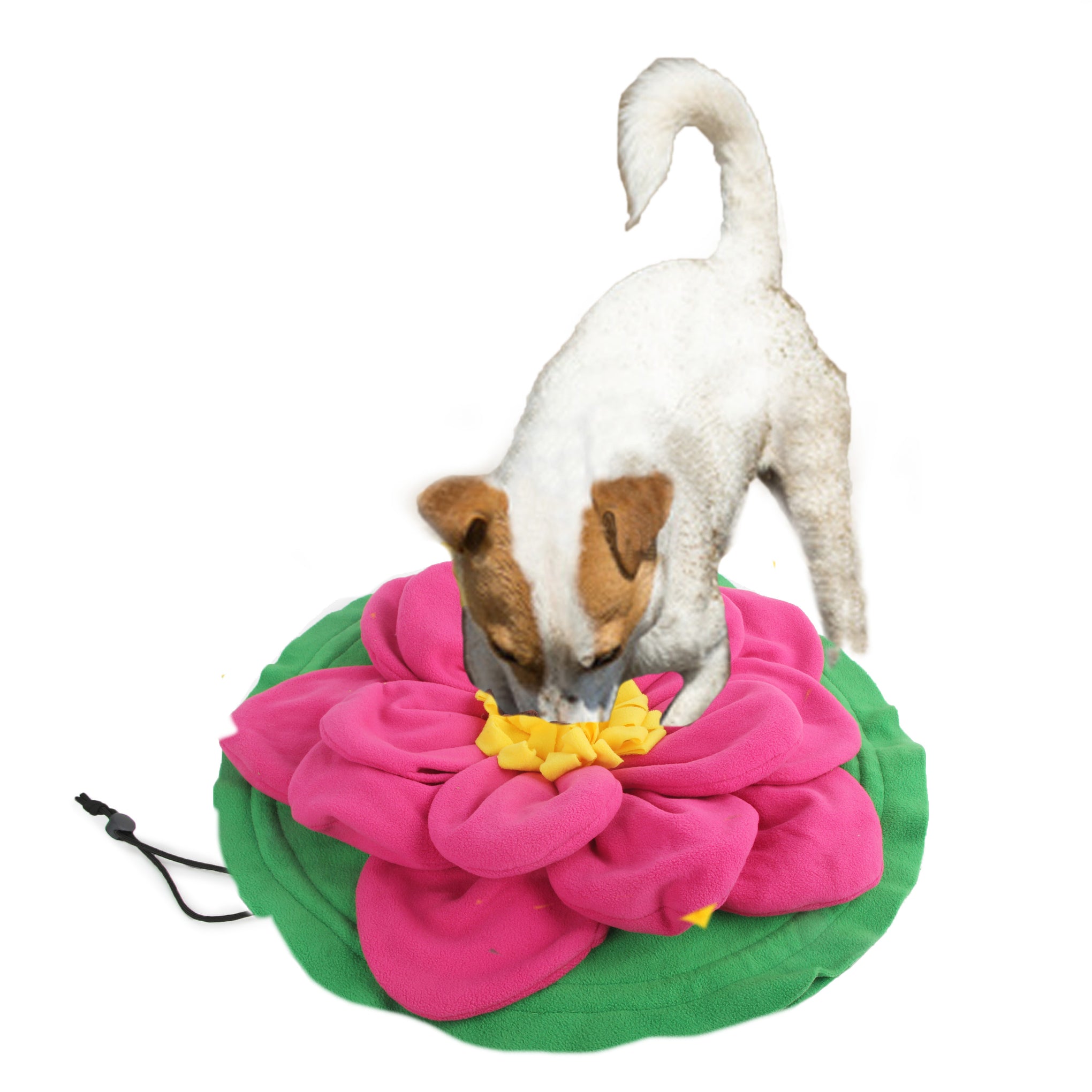 Furkidz Discovery Giant Lotus Dog Mat