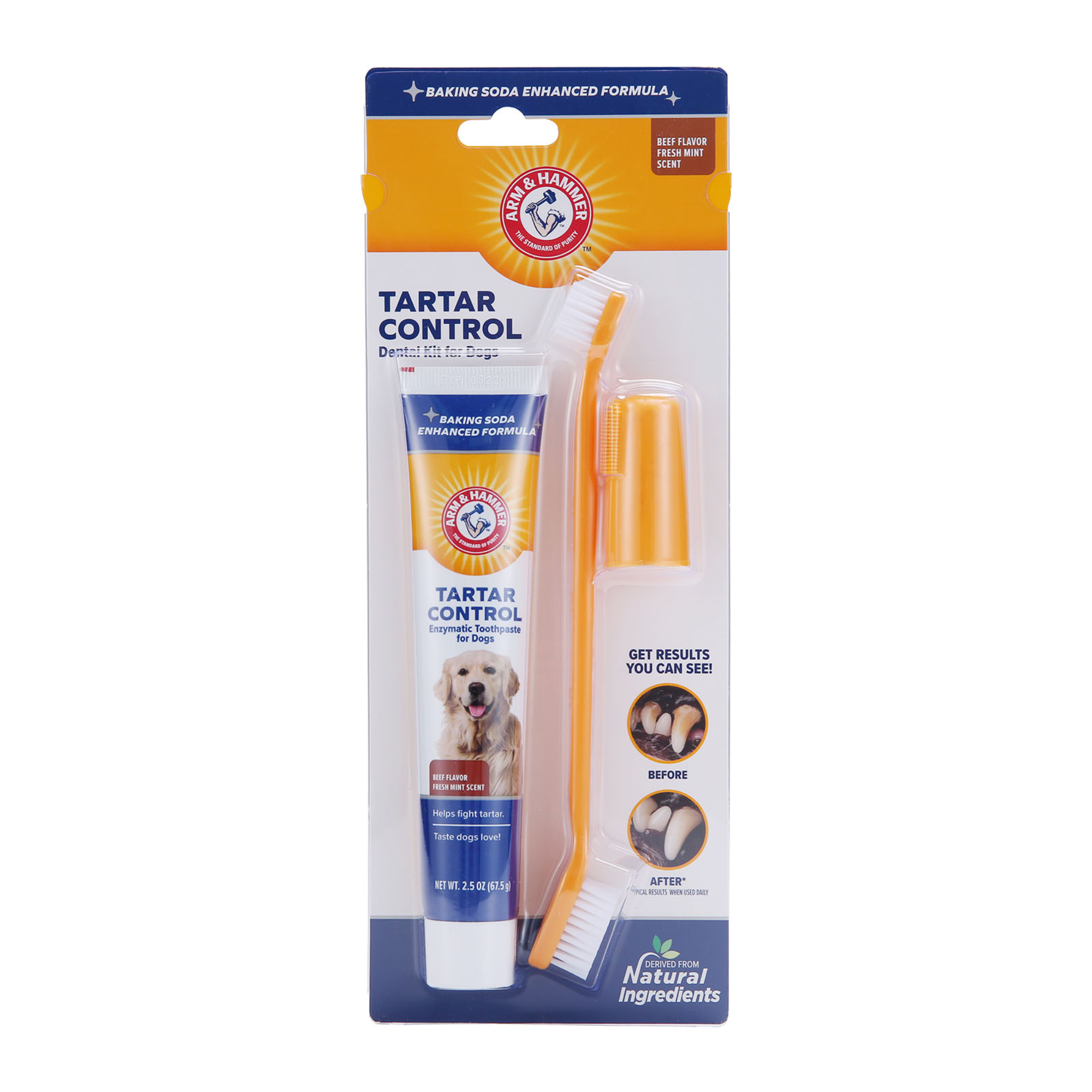 Arm and Hammer Tartar Control Dental Kit for Dogs Beef