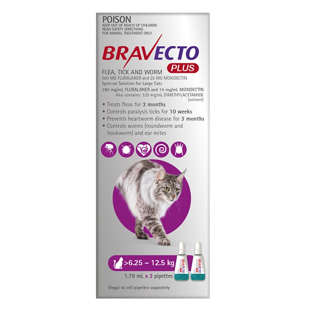 Bravecto Plus Large Cats 6.25-12.5Kg