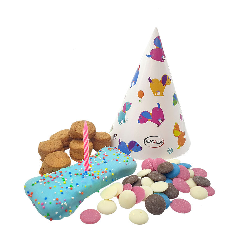 Doggy Fun Food Birthday in a Box Dog Treats Blue