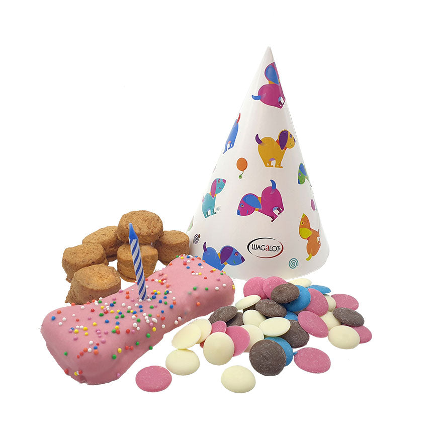 Doggy Fun Food Birthday in a Box Dog Treats Pink