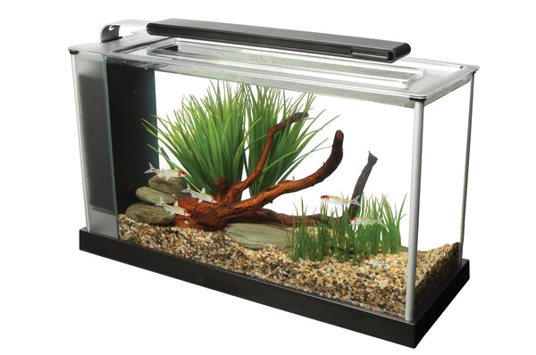 Fluval Spec Aquarium Tank Black