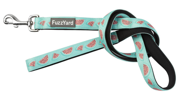 FuzzYard Summer Punch Dog Lead