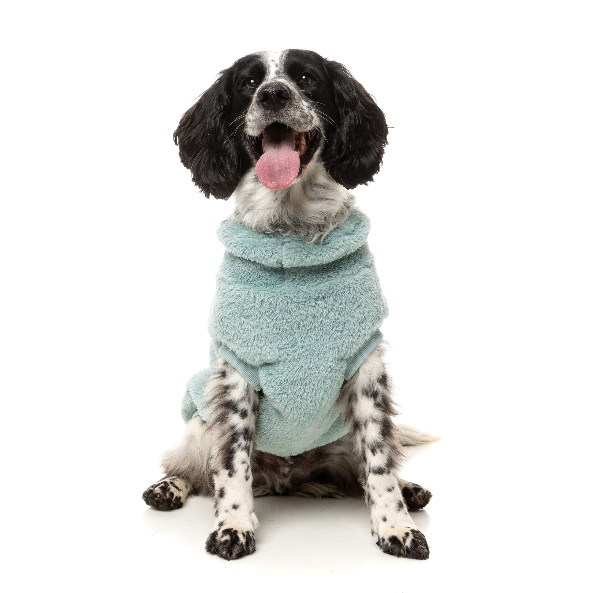 FuzzYard Turtle Teddy Dog Sweater Arctic Blue