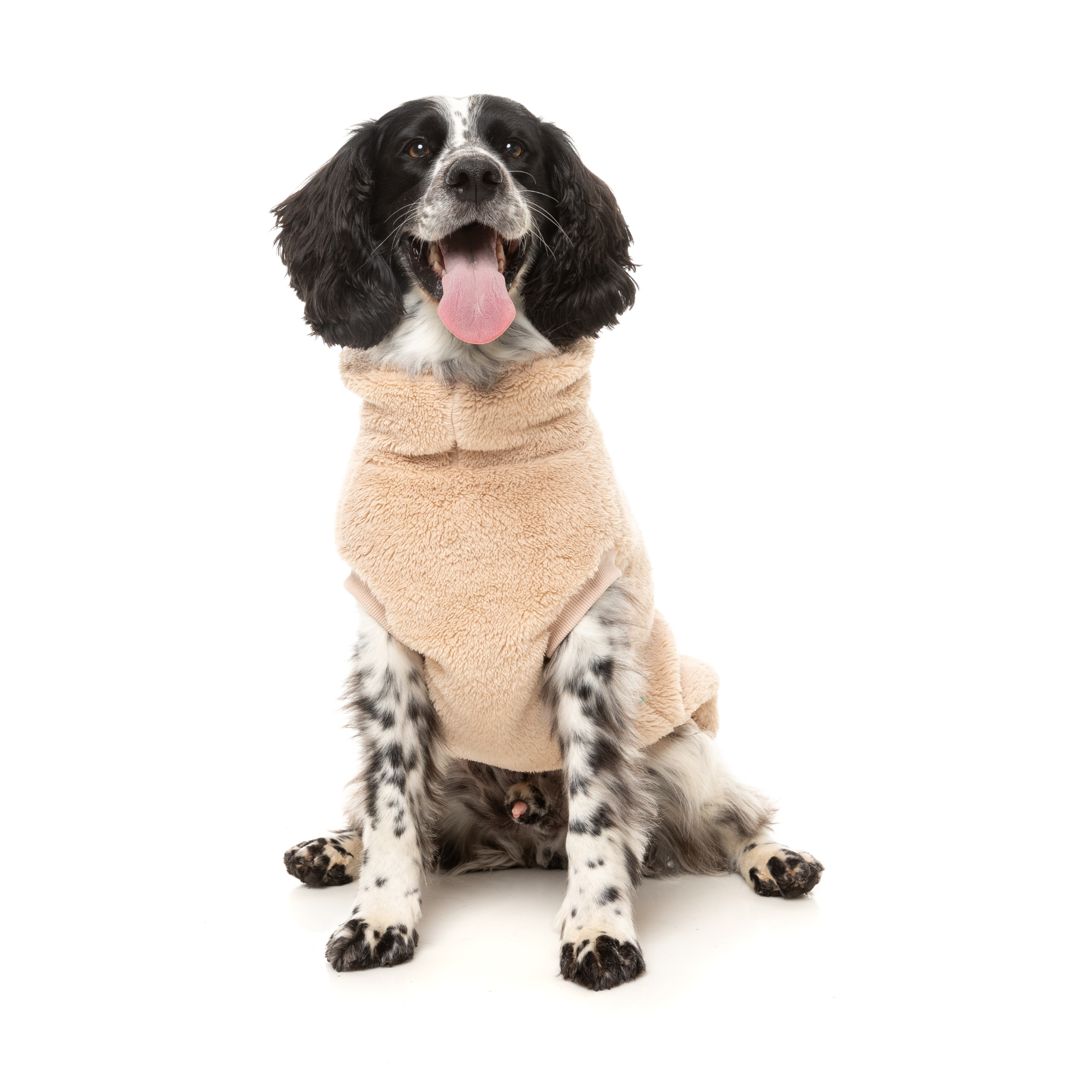 FuzzYard Turtle Teddy Dog Sweater Desert Tan