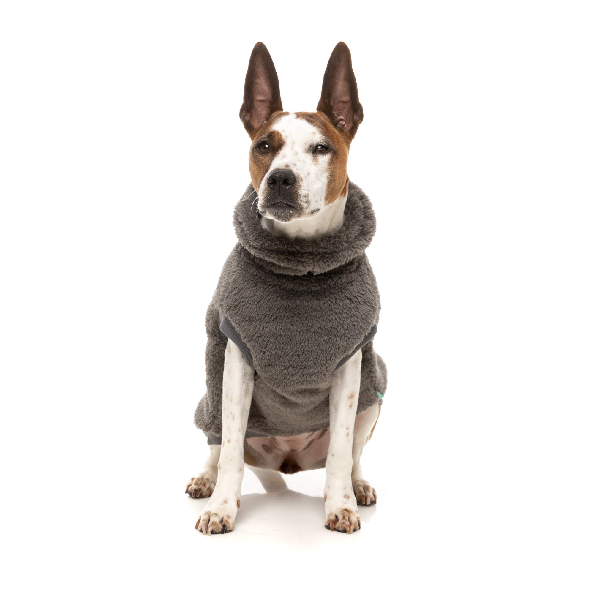 FuzzYard Turtle Teddy Dog Sweater Gunmetal Grey