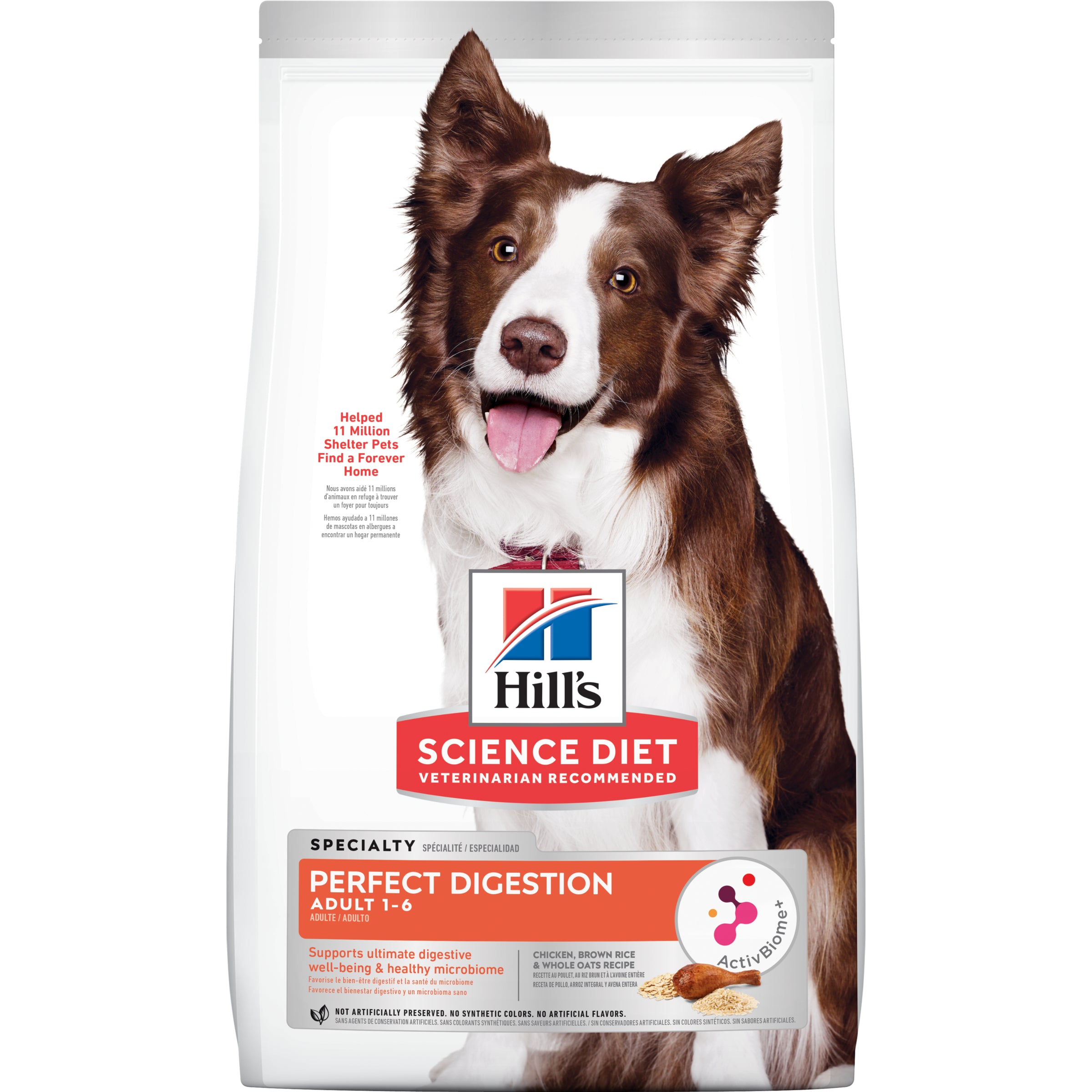 Science diet dog fashion food on