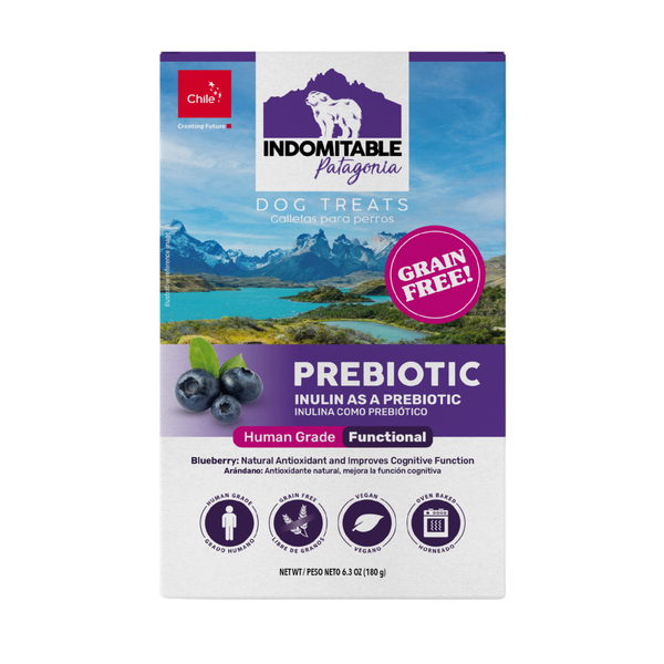 Indomitable Patagonia Prebiotic Blueberry Biscuits Grain Free Dog Treats 180g