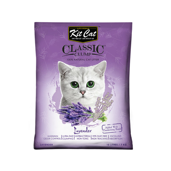 Care cat bentonite cat litter best sale