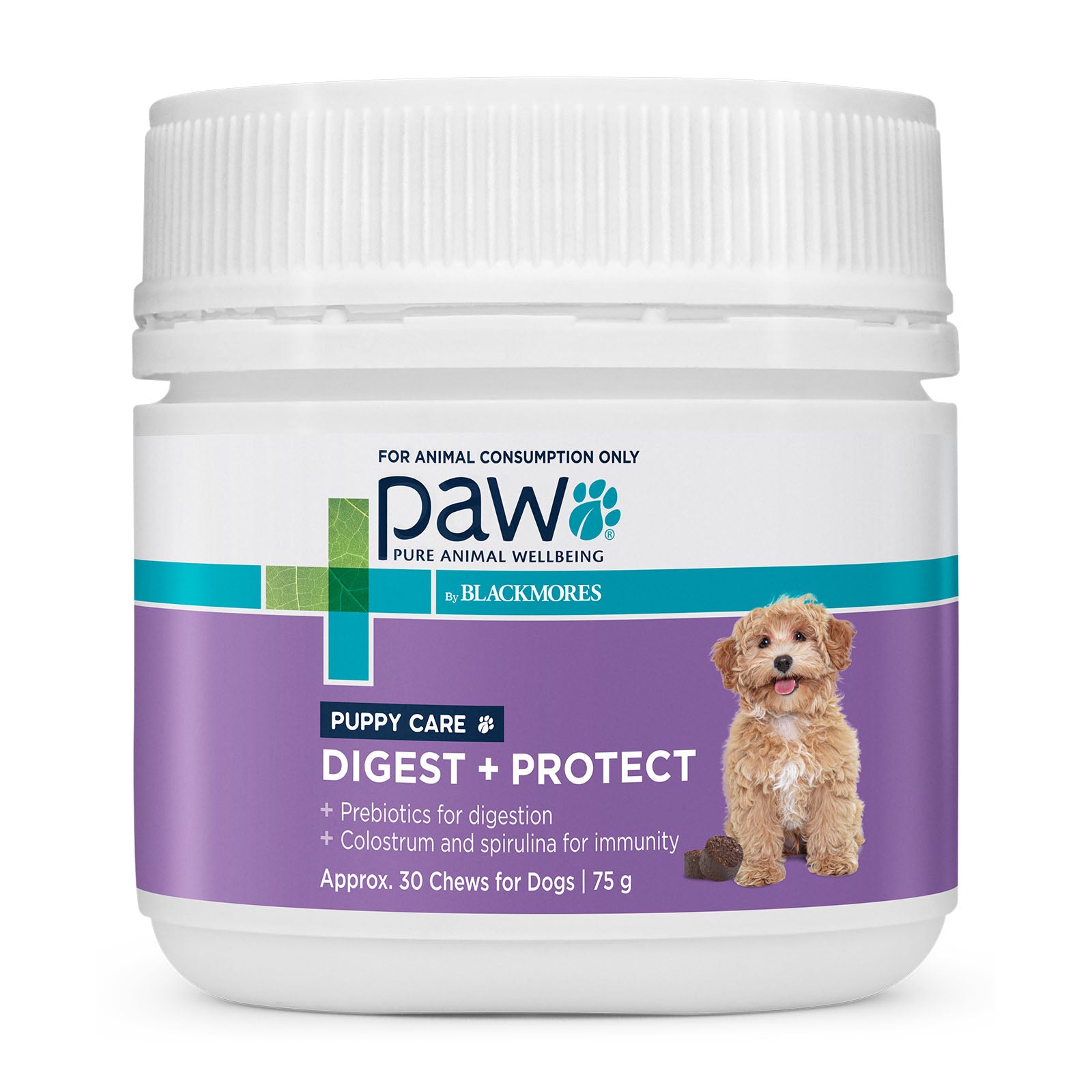 PAW By Blackmores Puppy Supplement Digest & Protect Care 75g