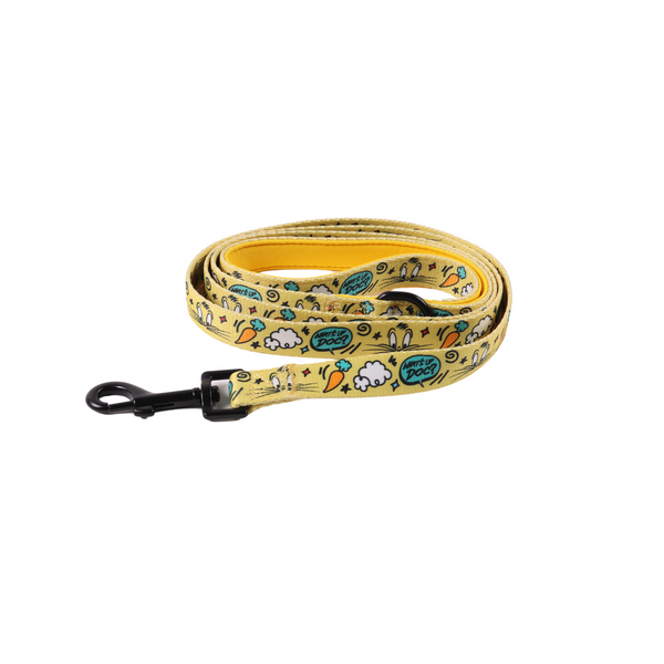 Petverse Looney Tunes Dog Lead