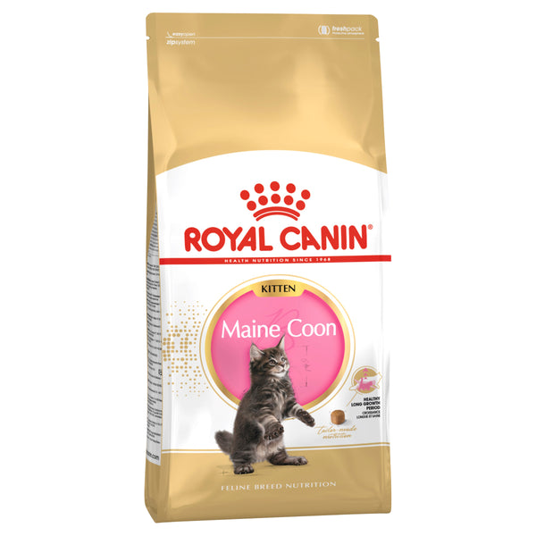 Royal Canin Cat Maine Coon Kitten Dry Food