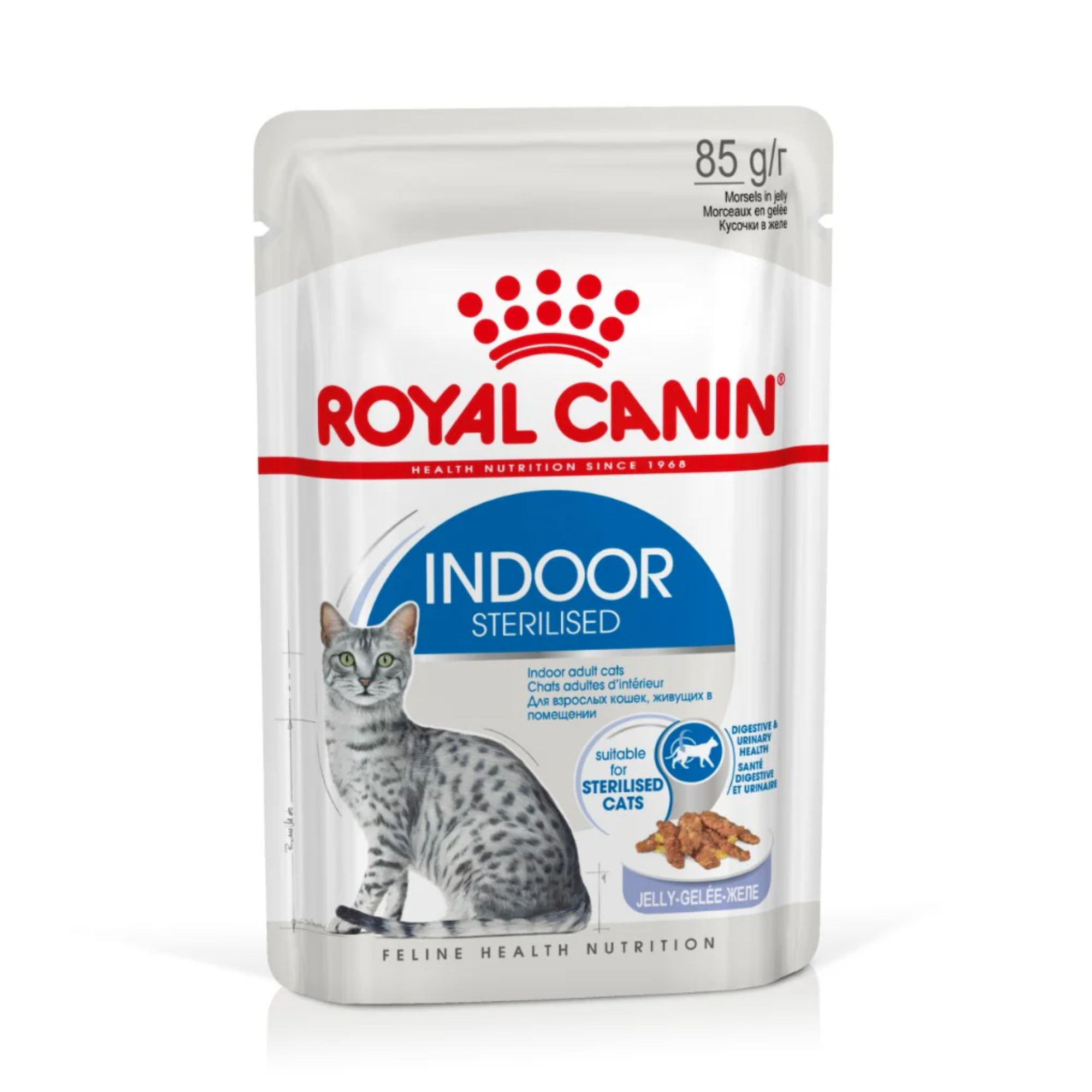 Royal Canin Indoor With Jelly Adult Wet Cat Food Pouches 85g x 12