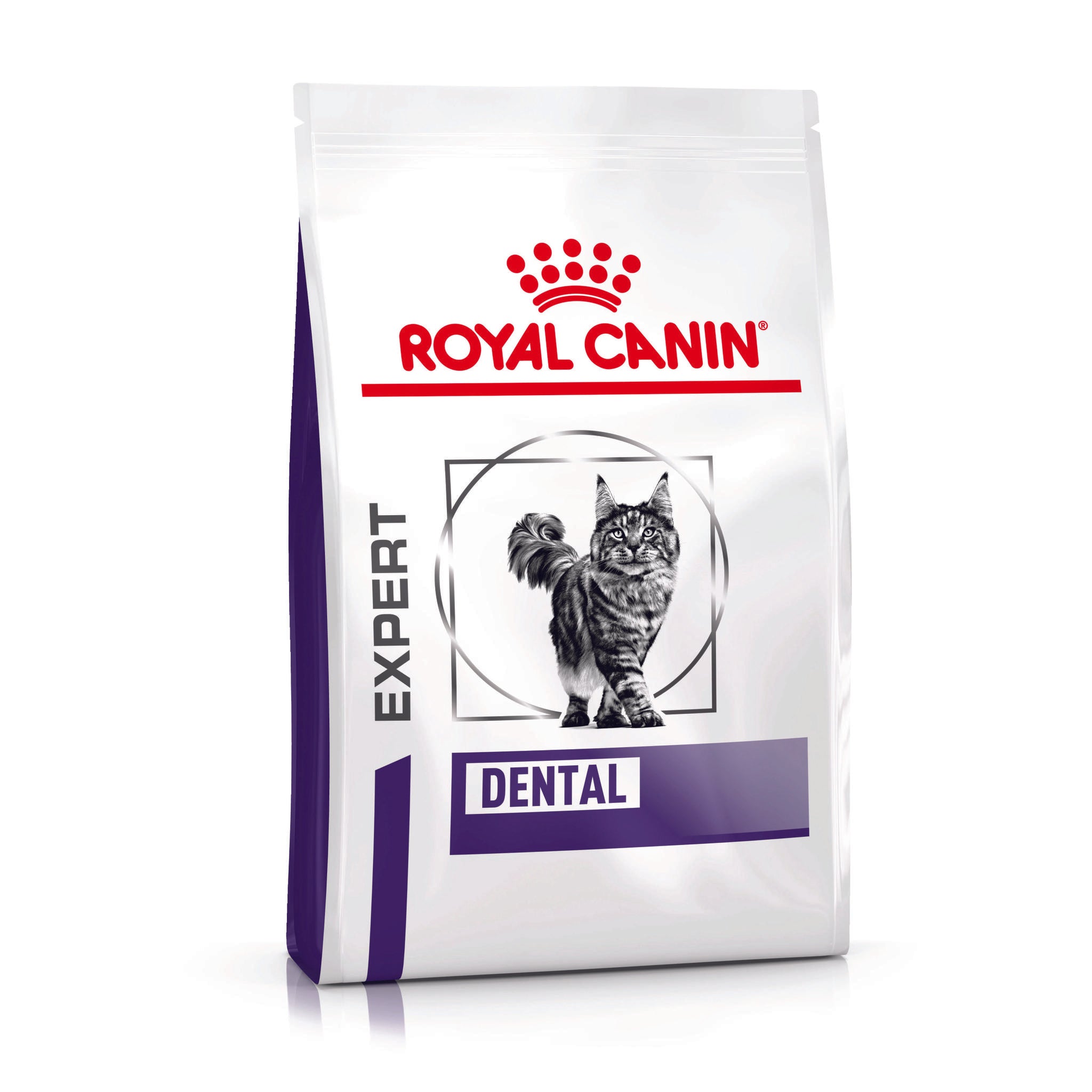 Fashion royal canin renal cat food