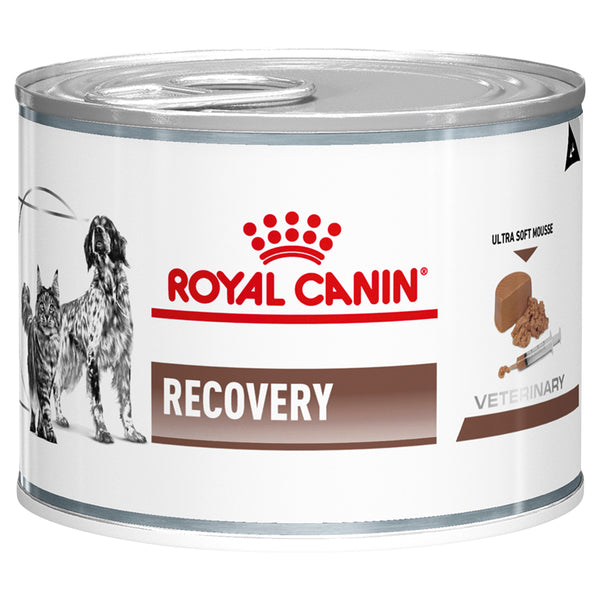 Royal Canin Veterinary Diet Recovery Adult Cat and Dog Wet Food 195g x 12
