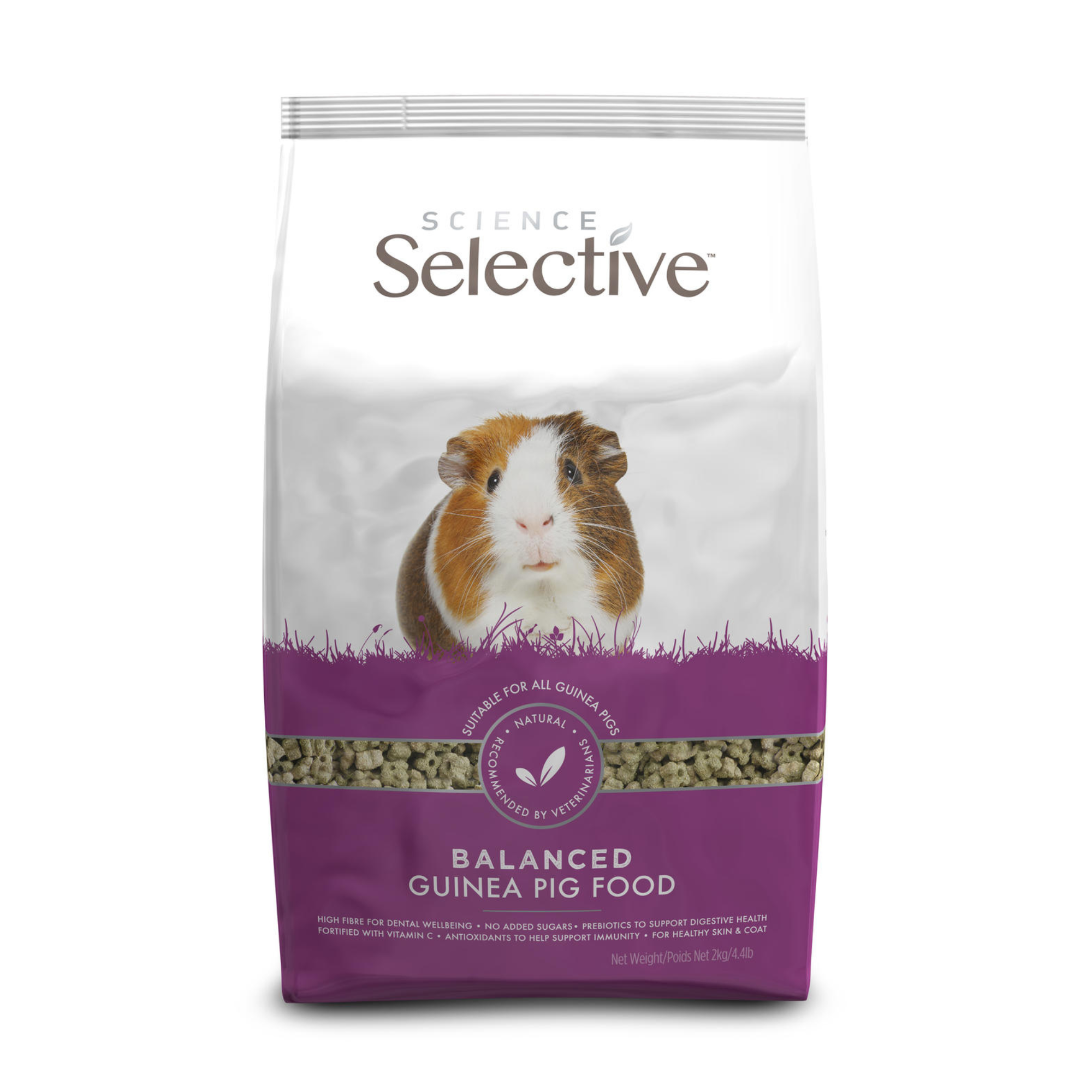 Adult guinea pig food best sale