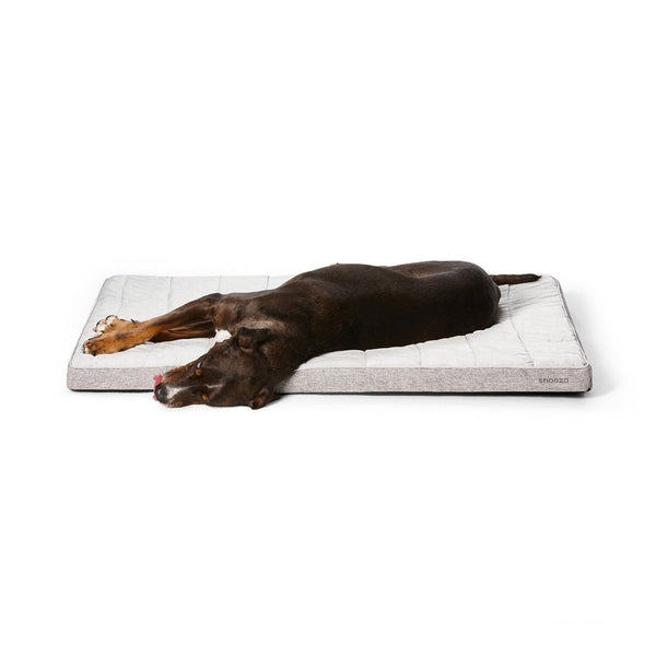 Snooza Cooling Comfort Dog Orthobed