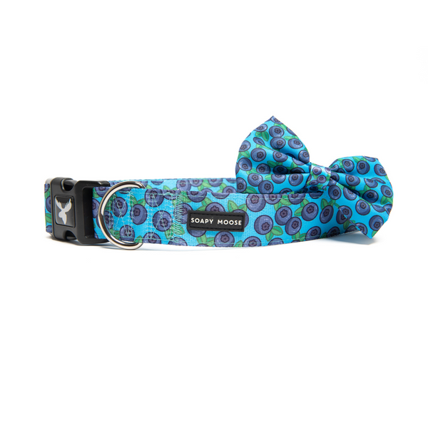 Soapy Moose Blueberries Dog Collar
