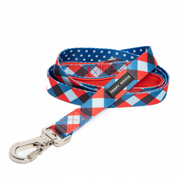 Soapy Moose Trendsetter Dog Lead Regular