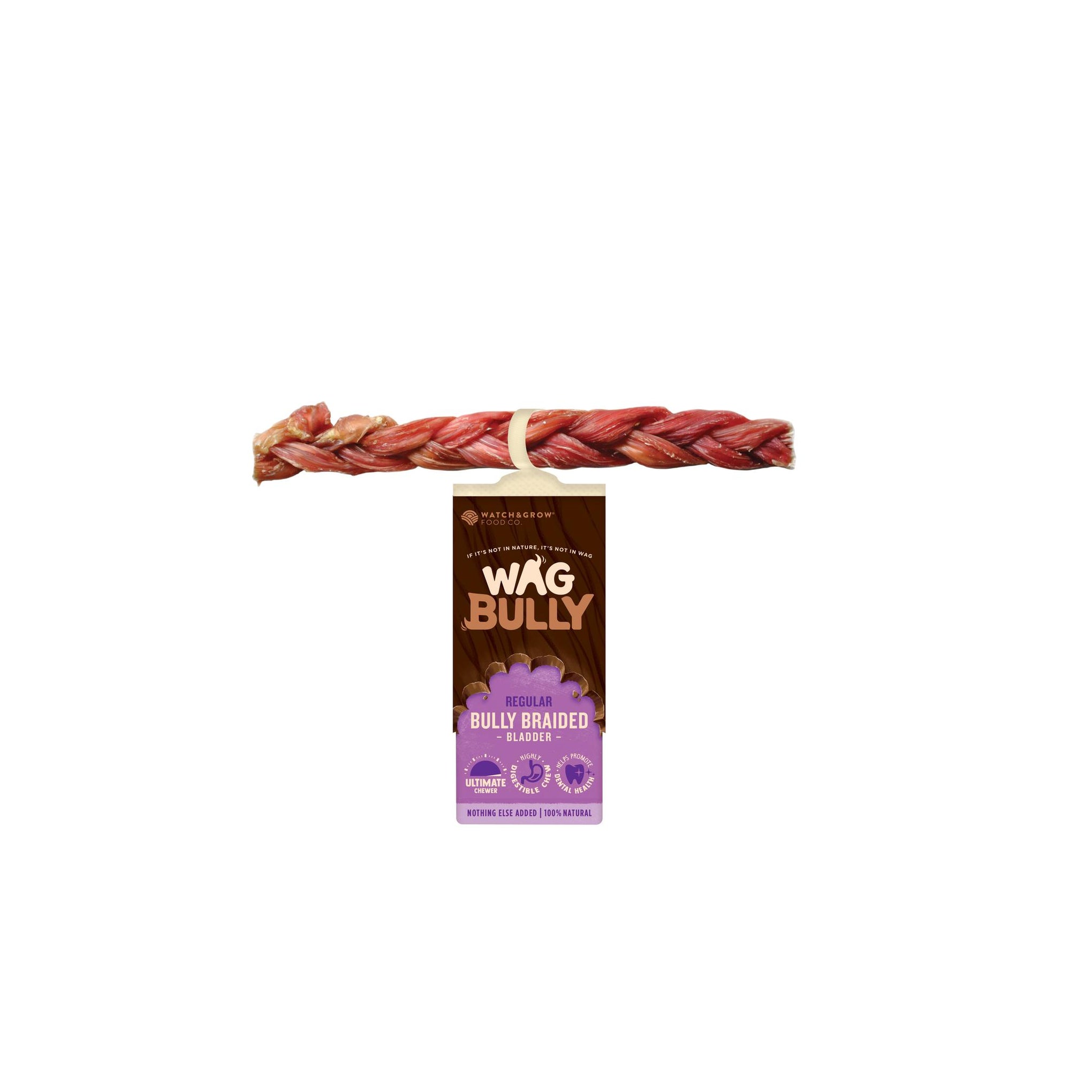 WAG Dog Treat Braided Bully Stick