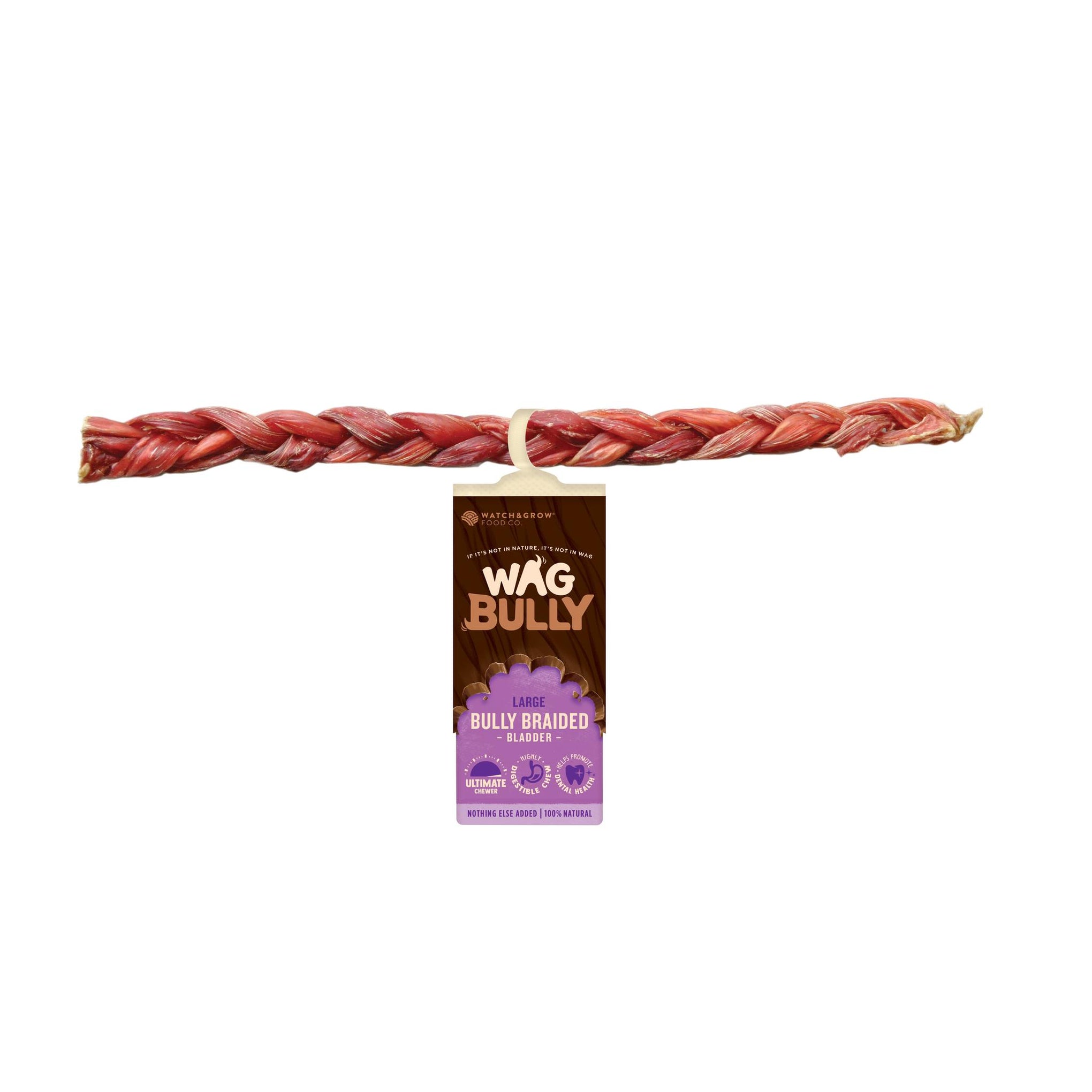 WAG Dog Treat Braided Bully Stick