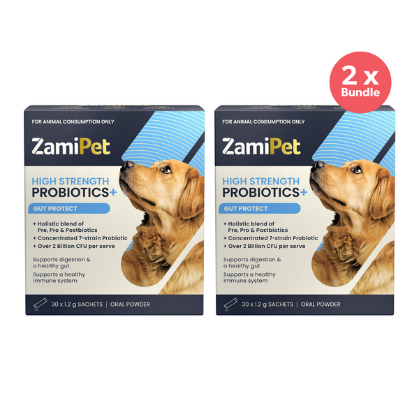 ZamiPet High Strength Probiotics Gut Protect for Dogs 1.2g x 60 Sachets
