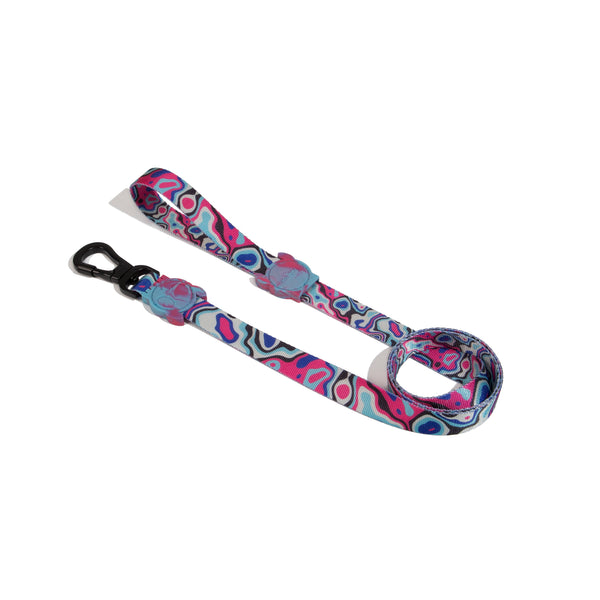Zee Dog Blast Dog Lead