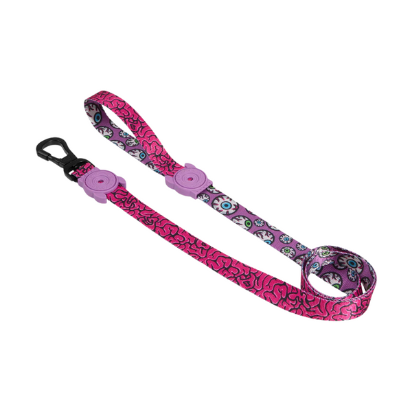Zee Dog Brain Dog Lead