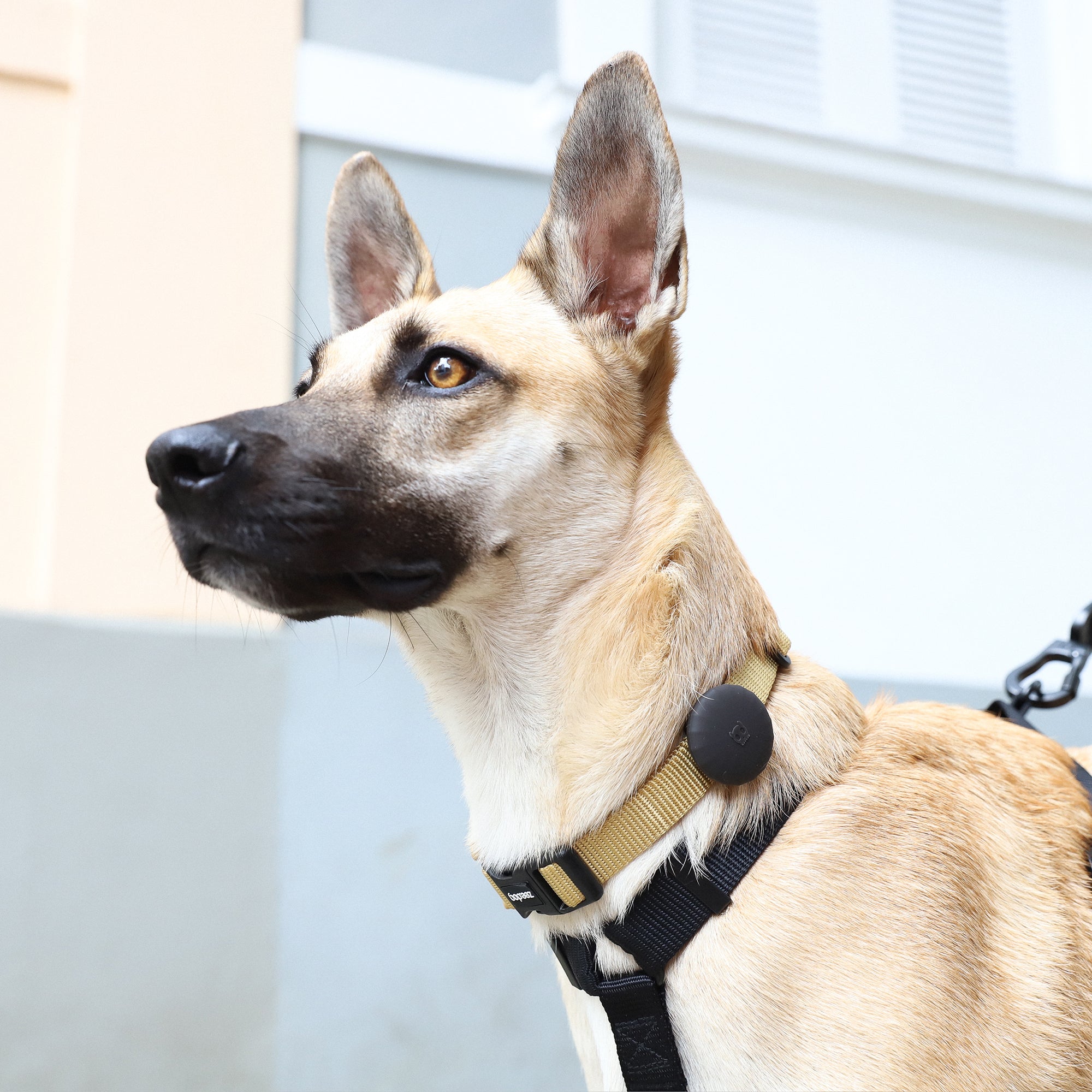 Zee Dog Gotham Airtag Holder