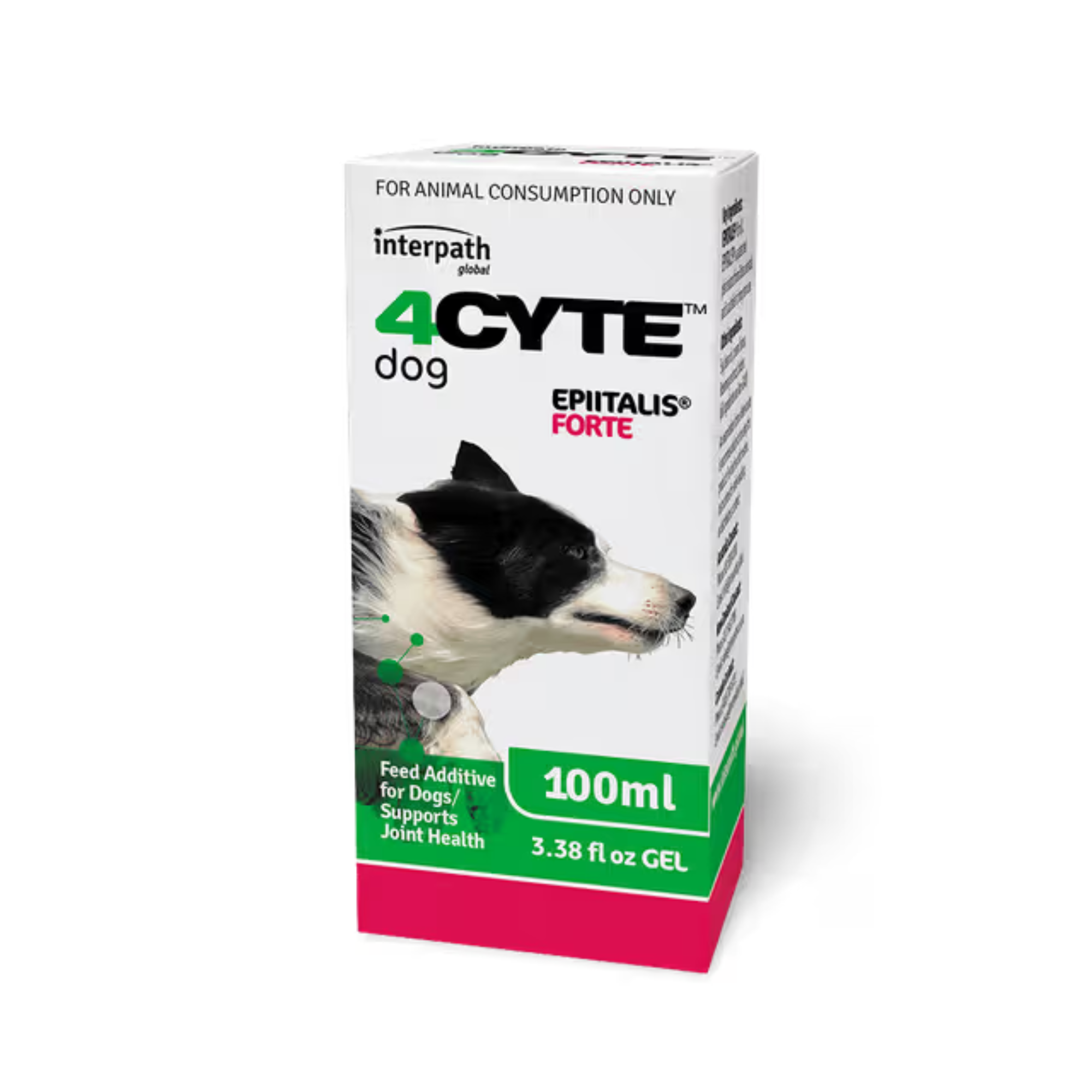 4CYTE Epiitalis Forte Joint Supplement Gel for Dogs