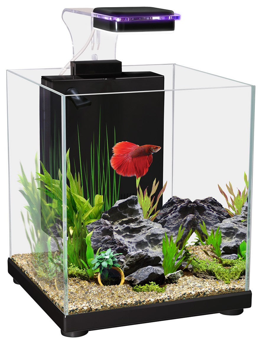 Aqua One Betta Sanctuary Glass Aquarium Black