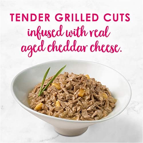 Fancy Feast Delights With Cheddar Grilled Chicken And Cheddar Cheese Feast In Gravy Wet Cat Food 85g x 48